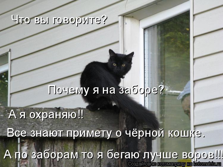 Что вы говорите? Почему я на заборе? А я охраняю!! Все знают примету о чёрной кошке. А по заборам то ... Котоматрица: Что вы говорите? Почему я на заборе? А я охраняю!! Все знают примету о чёрной кошке. А по заборам то я бегаю лучше воров!!!