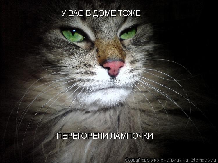 У ВАС В ДОМЕ ТОЖЕ ПЕРЕГОРЕЛИ ЛАМПОЧКИ... Котоматрица: У ВАС В ДОМЕ ТОЖЕ ПЕРЕГОРЕЛИ ЛАМПОЧКИ