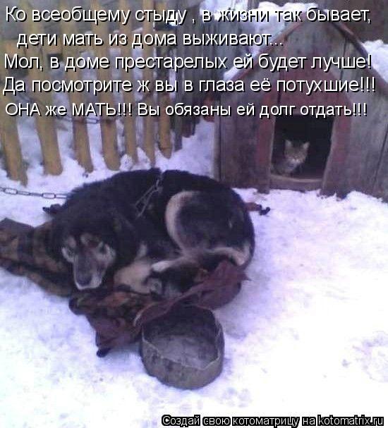 Котоматрица: Ко всеобщему стыду , в жизни так бывает, Мол, в доме престарелых ей будет лучше! Да посмотрите ж вы в глаза её потухшие!!! ОНА же МАТЬ!!! Вы обяза