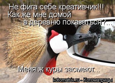 Не фига себе креативчик!!! Как же мне домой в деревню показаться?... Меня ж куры засмеют...... Котоматрица: Не фига себе креативчик!!! Как же мне домой в деревню показаться?... Меня ж куры засмеют...