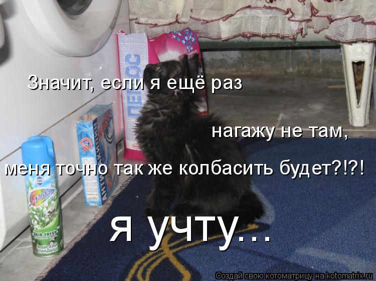 Значит, если я ещё раз нагажу не там, меня точно так же колбасить будет?!?! я учту...... Котоматрица: Значит, если я ещё раз нагажу не там, меня точно так же колбасить будет?!?! я учту...