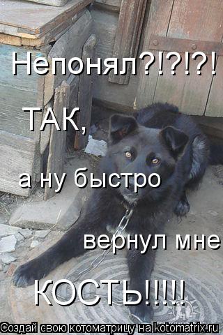 Непонял?!?!?! ТАК, а ну быстро вернул мне КОСТЬ!!!!!... Котоматрица: Непонял?!?!?! ТАК, а ну быстро вернул мне КОСТЬ!!!!!
