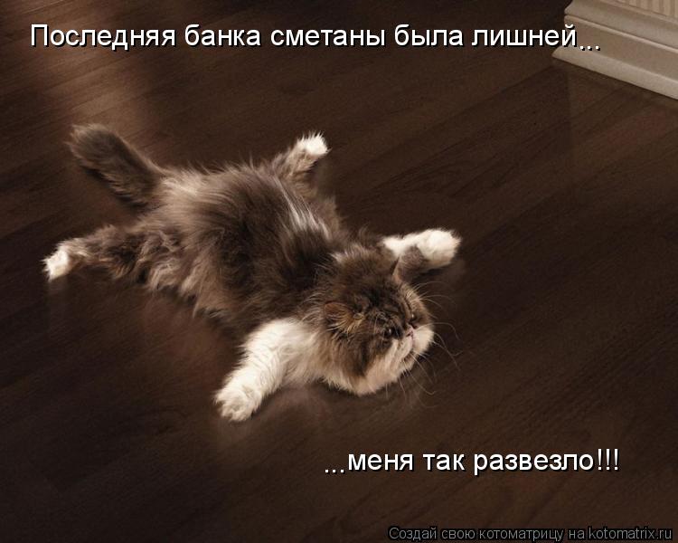 Последняя банка сметаны была лишней меня так развезло!!! ... ...... Котоматрица: Последняя банка сметаны была лишней меня так развезло!!! ... ...