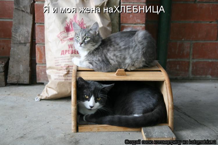 Я и моя жена наХЛЕБНИЦА... Котоматрица: Я и моя жена наХЛЕБНИЦА