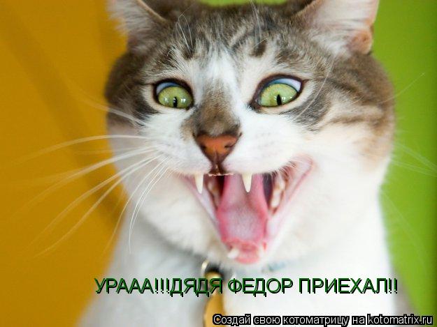 УРААА!!!ДЯДЯ ФЕДОР ПРИЕХАЛ!!... Котоматрица: УРААА!!!ДЯДЯ ФЕДОР ПРИЕХАЛ!!