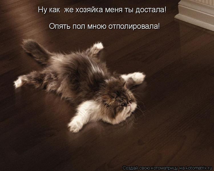 Ну как же хозяйка меня ты достала! Опять пол мною отполировала!... Котоматрица: Ну как же хозяйка меня ты достала! Опять пол мною отполировала!