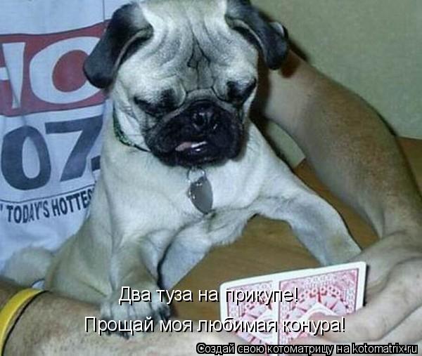 Два туза на прикупе! Прощай моя любимая конура!... Котоматрица: Два туза на прикупе! Прощай моя любимая конура!