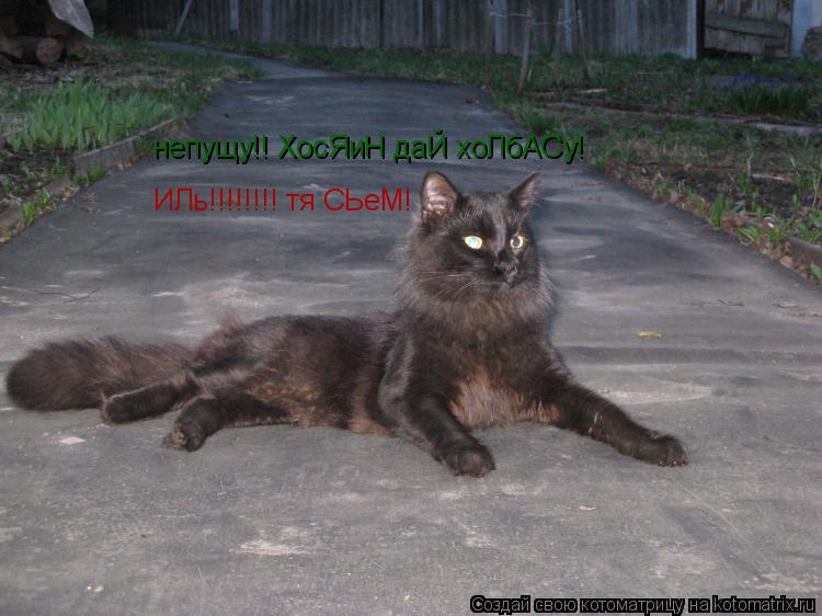 непущу!! ХосЯиН даЙ хоЛбАСу! ИЛь!!!!!!!! тя СЬеМ!... Котоматрица: непущу!! ХосЯиН даЙ хоЛбАСу! ИЛь!!!!!!!! тя СЬеМ!