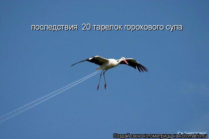 последствия 20 тарелок горохового супа... Котоматрица: последствия 20 тарелок горохового супа