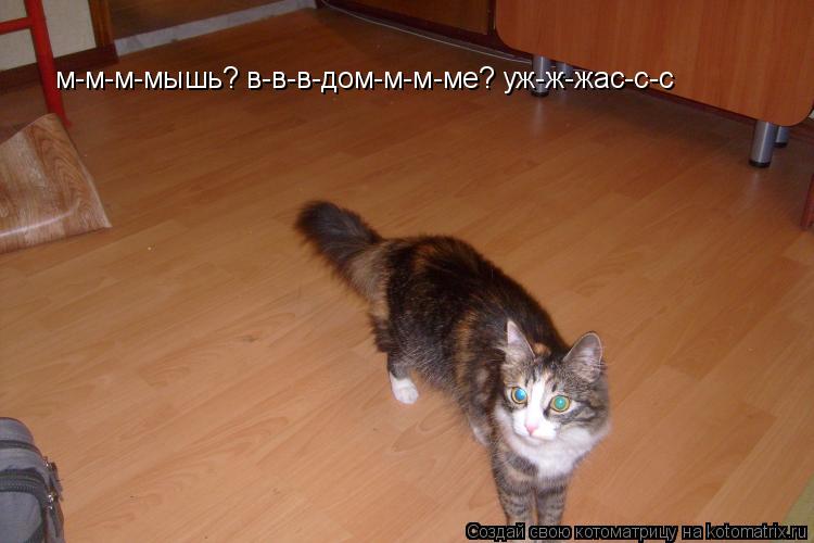 м-м-м-мышь? в-в-в-дом-м-м-ме? уж-ж-жас-с-с... Котоматрица: м-м-м-мышь? в-в-в-дом-м-м-ме? уж-ж-жас-с-с