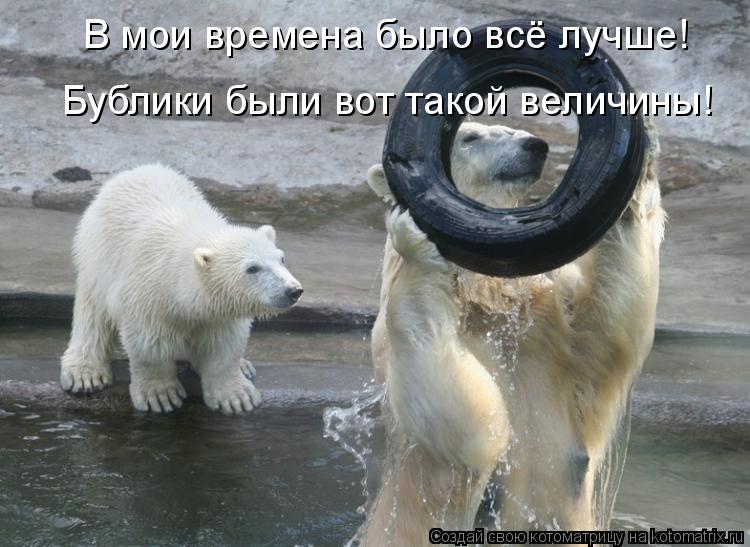 В мои времена было всё лучше! Бублики были вот такой величины!... Котоматрица: В мои времена было всё лучше! Бублики были вот такой величины!