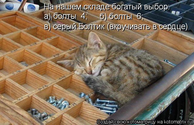 На нашем складе богатый выбор: а) болты №4; б) болты №6; в) серый Болтик (вкручивать в сердце)... Котоматрица: На нашем складе богатый выбор: а) болты №4; б) болты №6; в) серый Болтик (вкручивать в сердце)