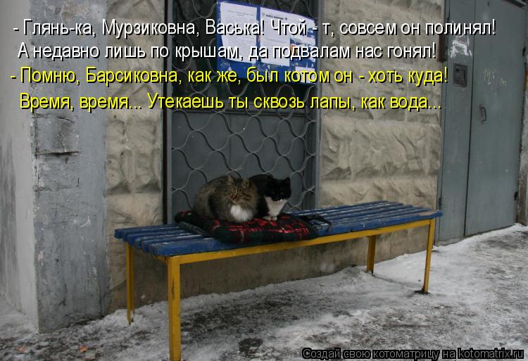 - Глянь-ка, Мурзиковна, Васька! Чтой - т, совсем он полинял! А недавно лишь по крышам, да подвалам на... Котоматрица: - Глянь-ка, Мурзиковна, Васька! Чтой - т, совсем он полинял! А недавно лишь по крышам, да подвалам нас гонял! - Помню, Барсиковна, как же, был кото