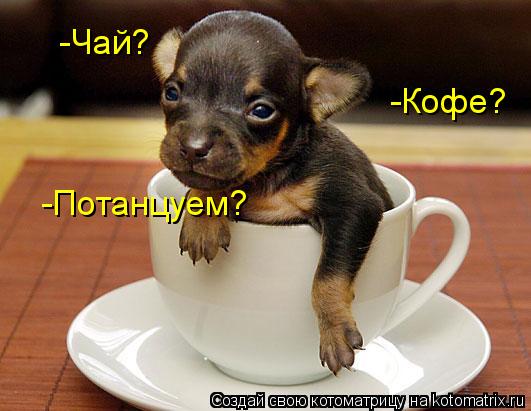 Котоматрица: -Чай? -Кофе? -Потанцуем?