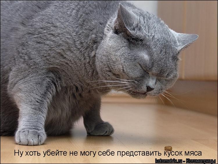 Ну хоть убейте не могу себе представить кусок мяса... Котоматрица: Ну хоть убейте не могу себе представить кусок мяса