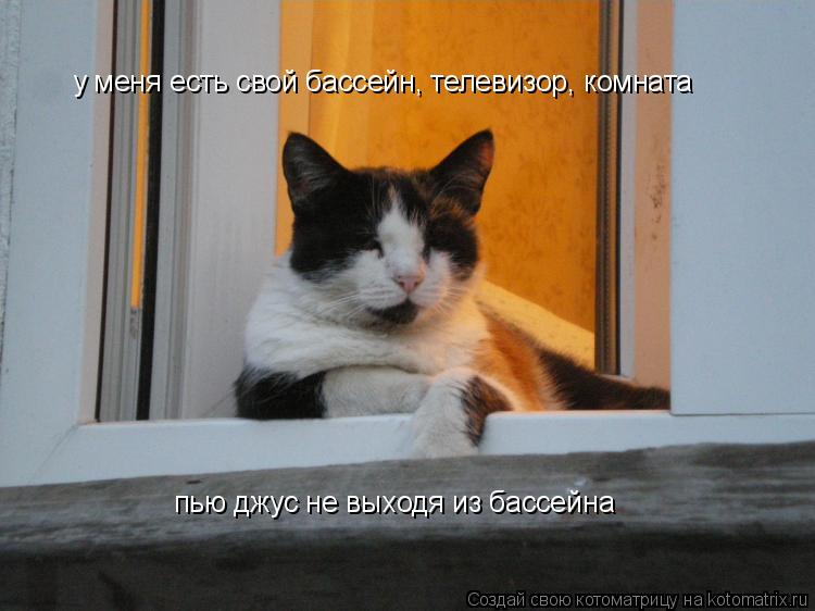 у меня есть свой бассейн, телевизор, комната пью джус не выходя из бассейна... Котоматрица: у меня есть свой бассейн, телевизор, комната пью джус не выходя из бассейна