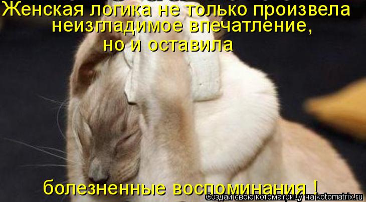 Женская логика не только произвела неизгладимое впечатление, но и оставила болезненные воспоминания ... Котоматрица: Женская логика не только произвела неизгладимое впечатление, но и оставила болезненные воспоминания !