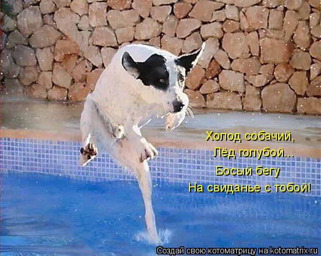 Холод собачий, Лёд голубой... Босый бегу На свиданье с тобой!... Котоматрица: Холод собачий, Лёд голубой... Босый бегу На свиданье с тобой!