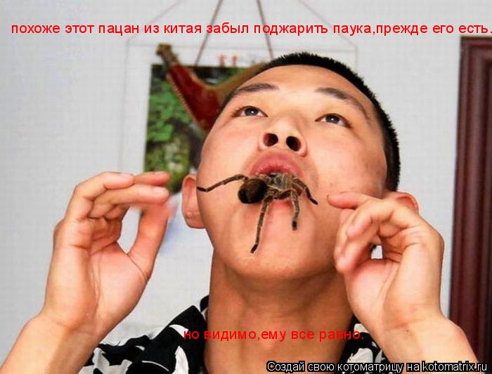 похоже этот пацан из китая забыл поджарить паука,прежде его есть. но видимо,ему все равно.... Котоматрица: похоже этот пацан из китая забыл поджарить паука,прежде его есть. но видимо,ему все равно.