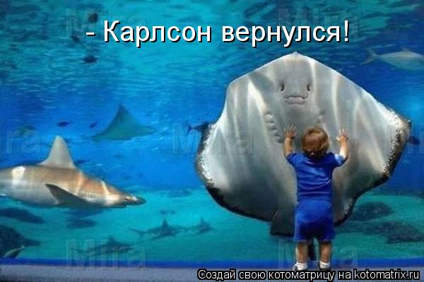 - Карлсон вернулся!... Котоматрица: - Карлсон вернулся!