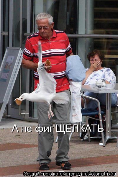 А не фиг ЩЕЛКАТЬ !... Котоматрица: А не фиг ЩЕЛКАТЬ !