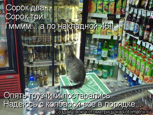 Сорок два... Сорок три... Гмммм... а по накладной 46!! Опять грузчики постарались.. Надеюсь с колба... Котоматрица: Сорок два... Сорок три... Гмммм... а по накладной 46!! Опять грузчики постарались.. Надеюсь с колбасой все в порядке...
