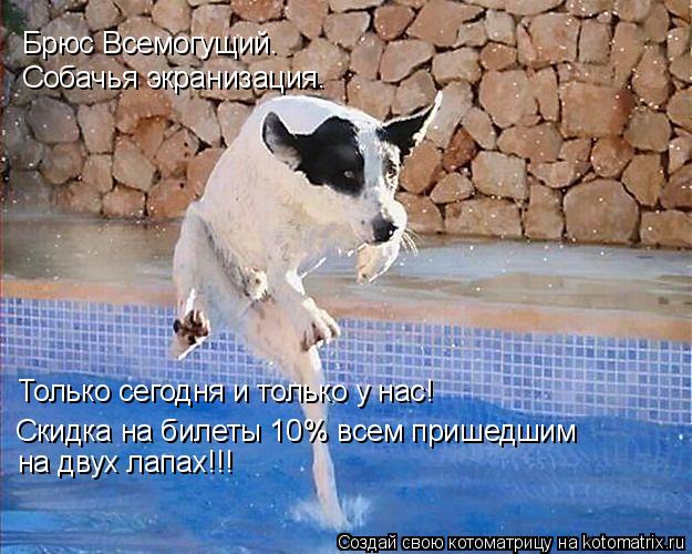 Брюс Всемогущий. Собачья экранизация. Только сегодня и только у нас! Скидка на билеты 10% всем прише... Котоматрица: Брюс Всемогущий. Собачья экранизация. Только сегодня и только у нас! Скидка на билеты 10% всем пришедшим на двух лапах!!!