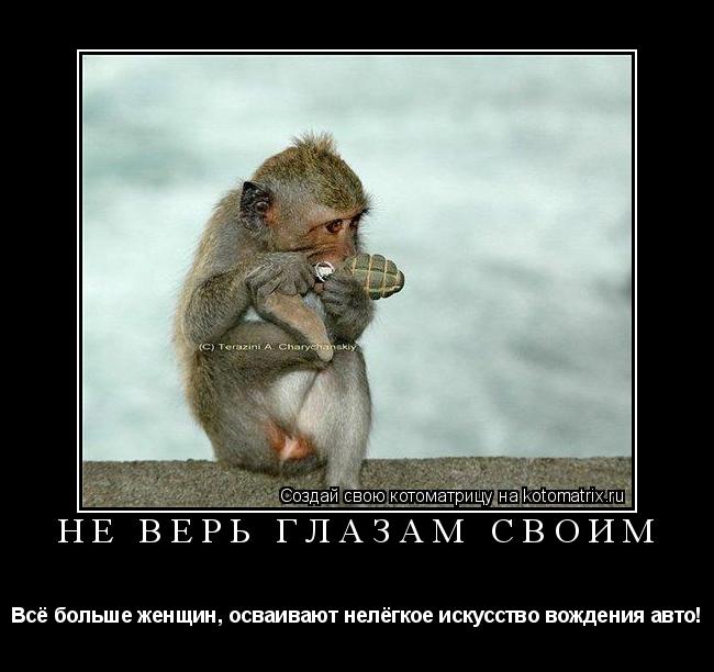 Котоматрица: Не верь глазам своим Всё больше женщин, осваивают нелёгкое искусство вождения авто!