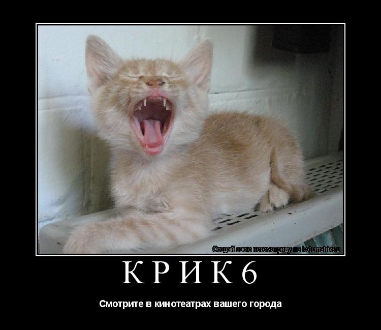 КРИК6 Смотрите в кинотеатрах вашего города... Котоматрица: КРИК6 Смотрите в кинотеатрах вашего города