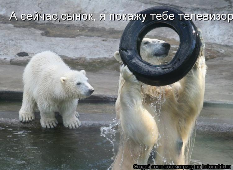 А сейчас,сынок, я покажу тебе телевизор...... Котоматрица: А сейчас,сынок, я покажу тебе телевизор...