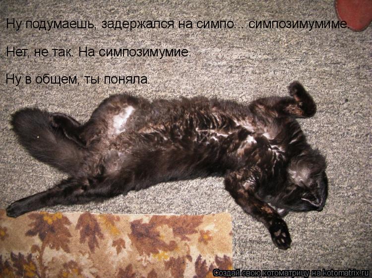 Ну подумаешь, задержался на симпо... симпозимумиме. Нет, не так. На симпозимумие. Ну в общем, ты поня... Котоматрица: Ну подумаешь, задержался на симпо... симпозимумиме. Нет, не так. На симпозимумие. Ну в общем, ты поняла.
