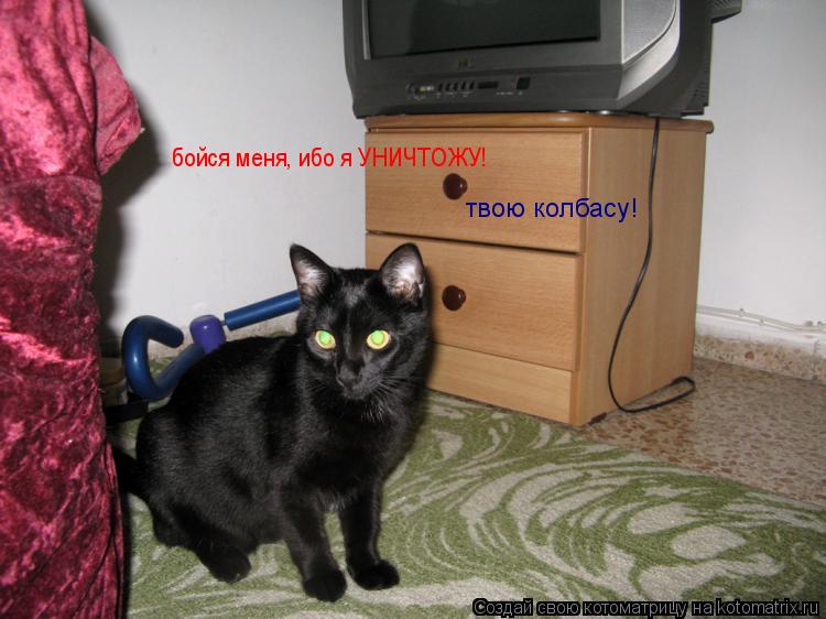 твою колбасу! бойся меня, ибо я УНИЧТОЖУ!... Котоматрица: твою колбасу! бойся меня, ибо я УНИЧТОЖУ!