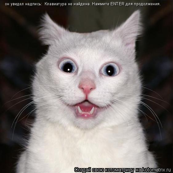 он увидел надпись: Клавиатура не найдена. Нажмите ENTER для продолжения.... Котоматрица: он увидел надпись: Клавиатура не найдена. Нажмите ENTER для продолжения.