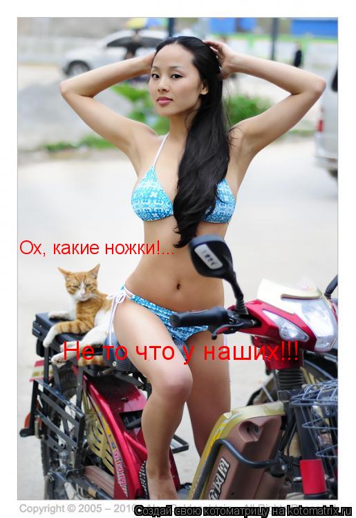 Ох, какие ножки!... Не то что у наших!!!... Котоматрица: Ох, какие ножки!... Не то что у наших!!!