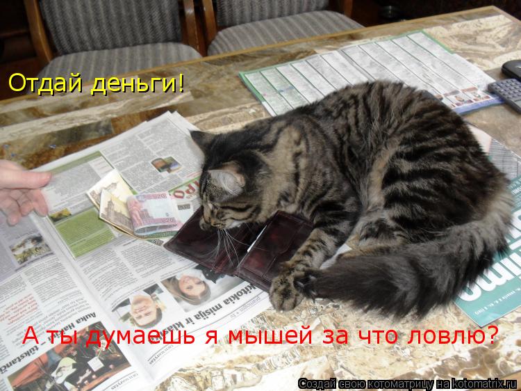 Отдай деньги! А ты думаешь я мышей за что ловлю?... Котоматрица: Отдай деньги! А ты думаешь я мышей за что ловлю?