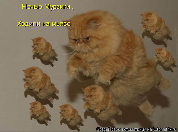 Ночью Мурзики , Ходили на мьясо... Котоматрица: Ночью Мурзики , Ходили на мьясо
