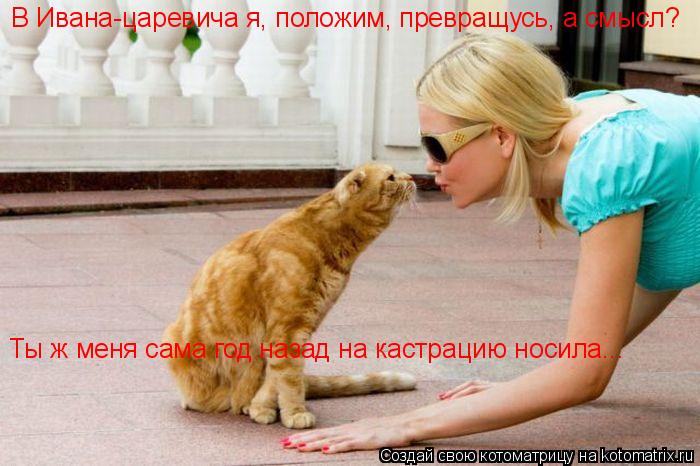 Котоматрица: В Ивана-царевича я, положим, превращусь, а смысл? Ты ж меня сама год назад на кастрацию носила...