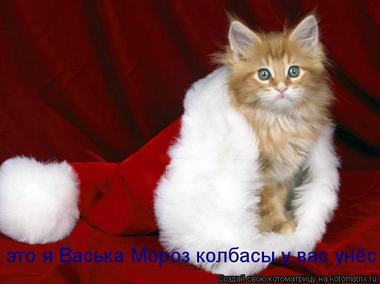 это я Васька Мороз колбасы у вас унёс... Котоматрица: это я Васька Мороз колбасы у вас унёс