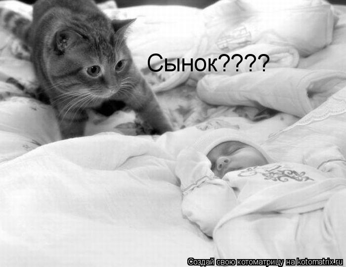 Сынок????... Котоматрица: Сынок????