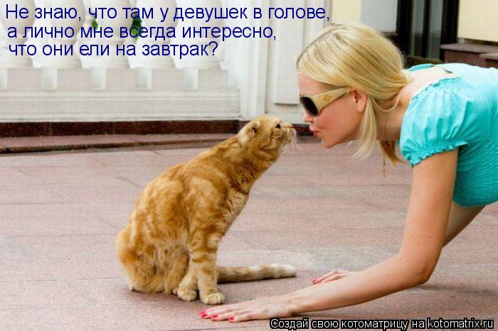 Не знаю, что там у девушек в голове, а лично мне всегда интересно, что они ели на завтрак?... Котоматрица: Не знаю, что там у девушек в голове, а лично мне всегда интересно, что они ели на завтрак?