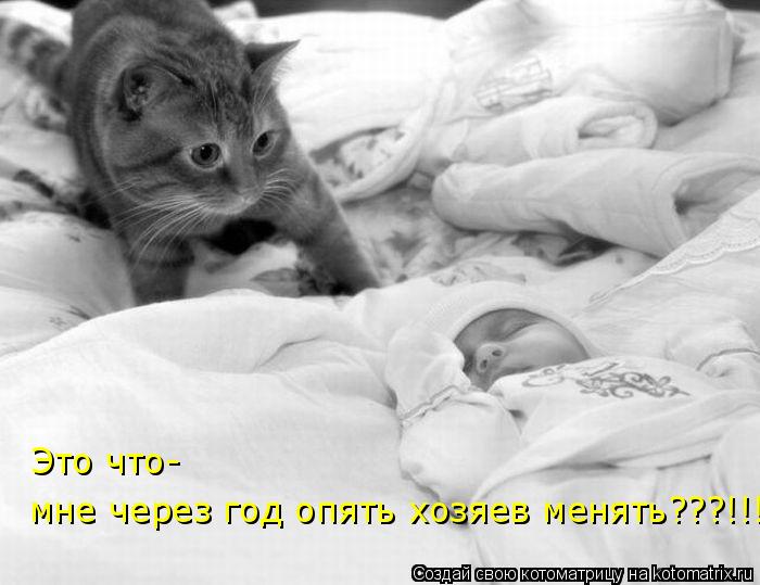 Это что- мне через год опять хозяев менять???!!!... Котоматрица: Это что- мне через год опять хозяев менять???!!!