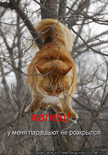 у меня парашьют не розкрылся капец!... Котоматрица: у меня парашьют не розкрылся капец!