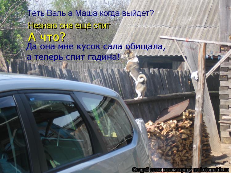Тёть Валь а Маша когда выйдет? Незнаю она ещё спит А что? Да она мне кусок сала обищала, а теперь сп... Котоматрица: Тёть Валь а Маша когда выйдет? Незнаю она ещё спит А что? Да она мне кусок сала обищала, а теперь спит гадина!