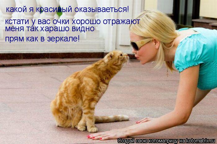 какой я красивый оказываеться! кстати у вас очки хорошо отражают меня так харашо видно прям как в зер... Котоматрица: какой я красивый оказываеться! кстати у вас очки хорошо отражают меня так харашо видно прям как в зеркале!