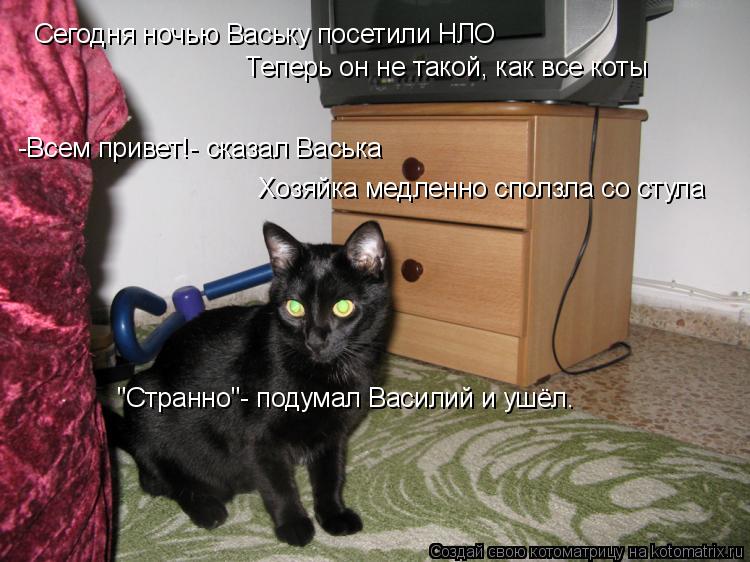 Котоматрица: Сегодня ночью Ваську посетили НЛО Теперь он не такой, как все коты -Всем привет!- сказал Васька Хозяйка медленно сползла со стула "Странно"- п