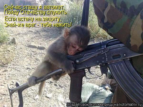 Котоматрица: Сейчас стащу я автомат, Пойду Отечеству служить. Если встану на защиту, Знай-же враг - тебе нежить!
