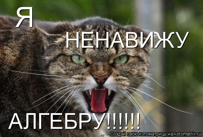 Я НЕНАВИЖУ АЛГЕБРУ!!!!!!... Котоматрица: Я НЕНАВИЖУ АЛГЕБРУ!!!!!!
