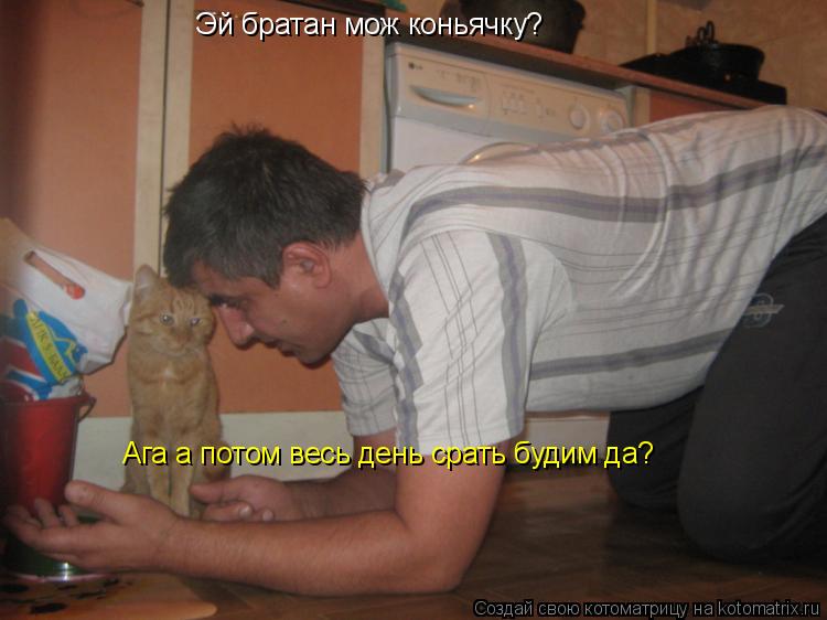 Эй братан мож коньячку? Ага а потом весь день срать будим да?... Котоматрица: Эй братан мож коньячку? Ага а потом весь день срать будим да?