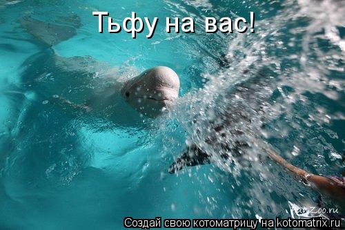 Тьфу на вас!... Котоматрица: Тьфу на вас!