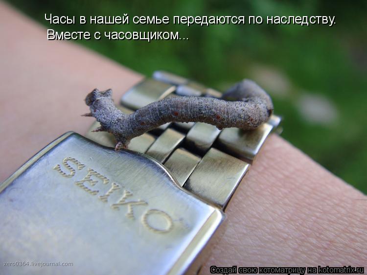 Часы в нашей семье передаются по наследству. Вместе с часовщиком...... Котоматрица: Часы в нашей семье передаются по наследству. Вместе с часовщиком...